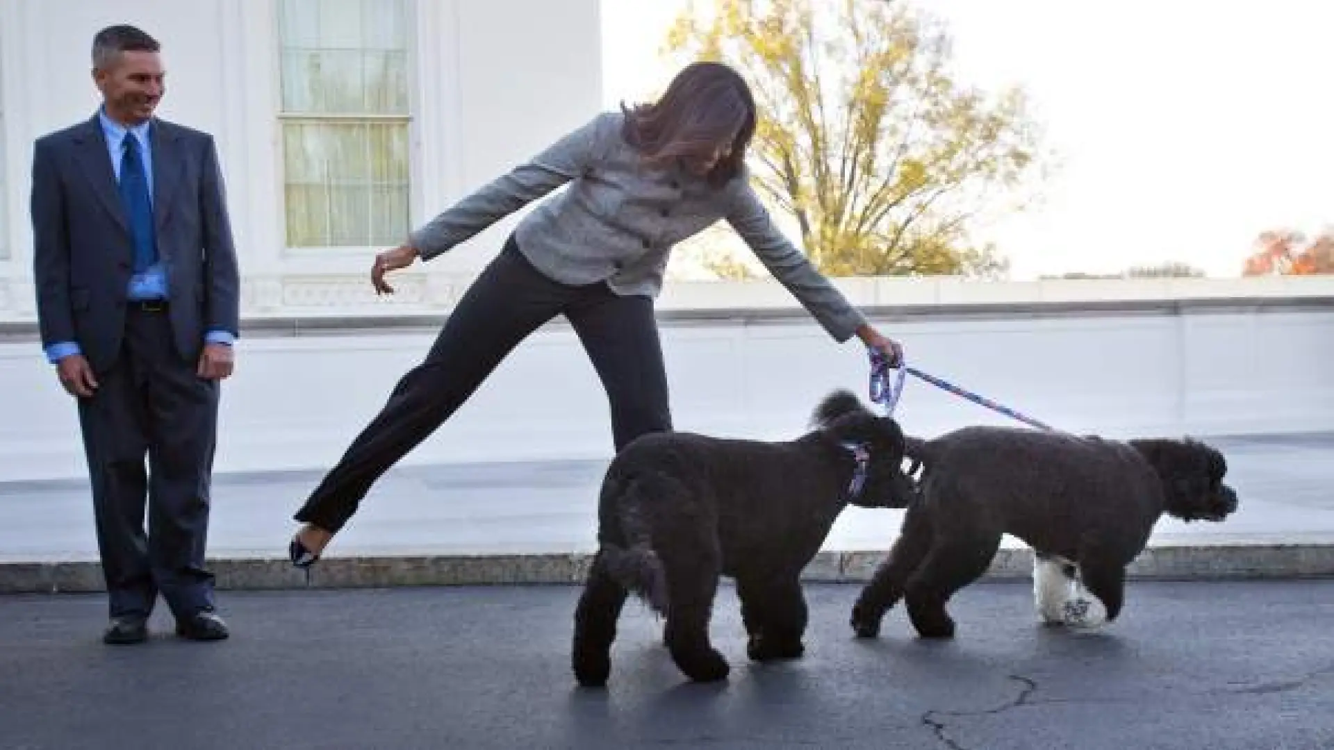 Sunny, the Obamas' loyal dog, dies at 13, reuniting with Bo in memory: ‘Will miss her terribly’